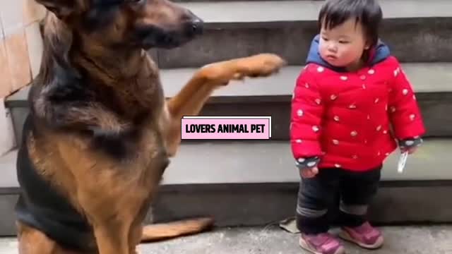 Funny Dog 🧚Cute Baby Magic Love