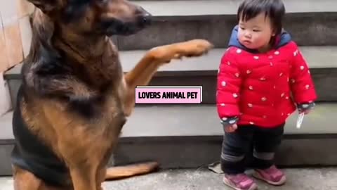 Funny Dog 🧚Cute Baby Magic Love