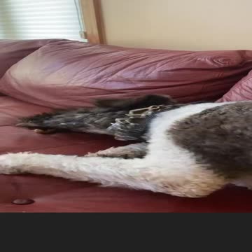 Ollie’s First Birthday!