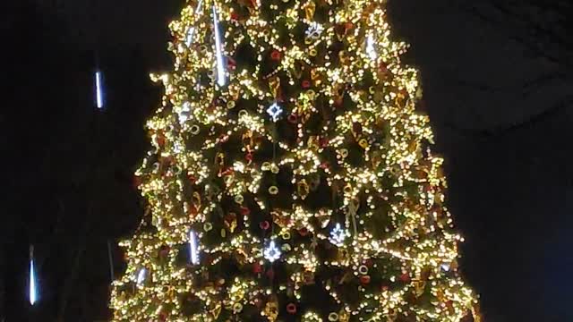 Christmas tree in the Vinnitsya