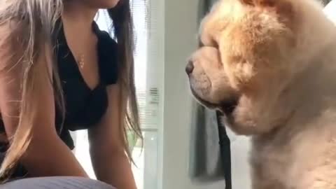 Cute Dog with Cute movement