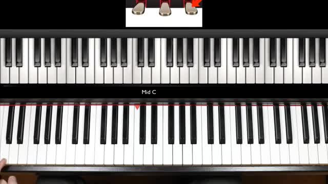 Anyone Can Learn Piano or Keyboard