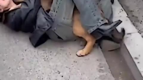 Respect video ❤️ #respect funny