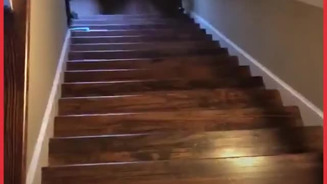 #funny😂funny