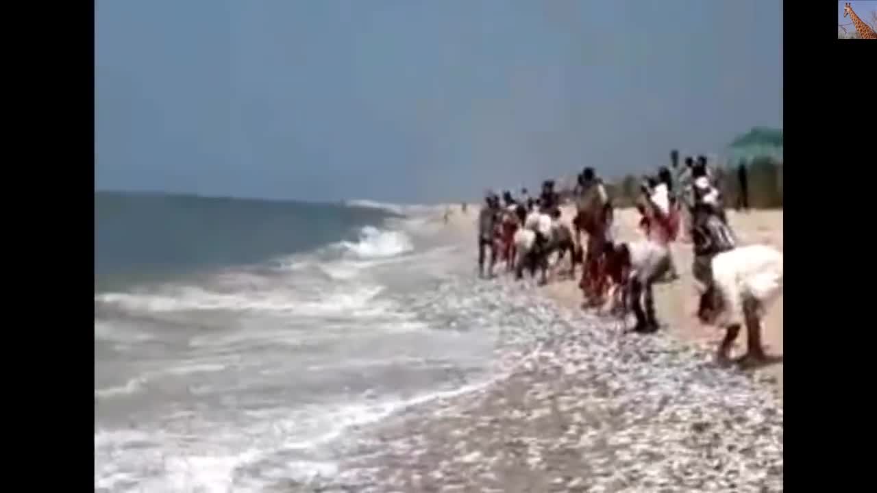 Thousands of fish jump out of ocean.