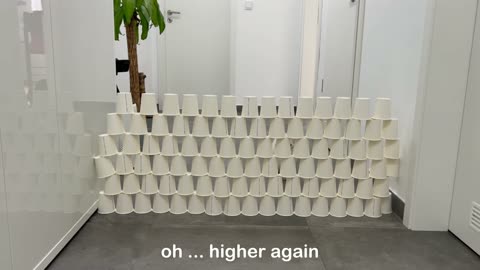 CATYLYMPICS...!