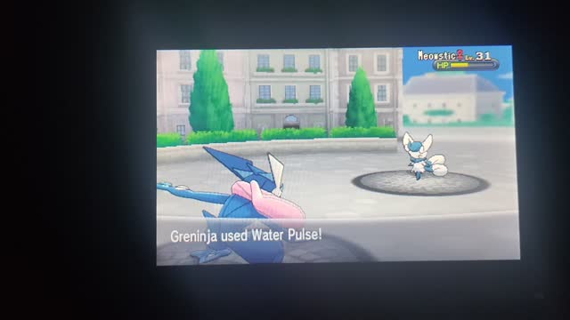 Pokemon X:Rival Battle Coumarine City