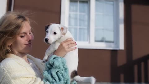 beautiful girl with puppy jack russell terrier
