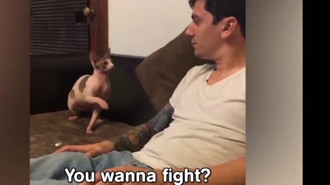 Funny animal fights 🤪🤣