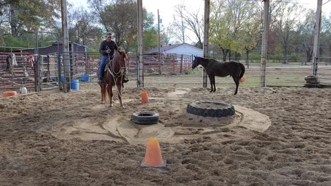 Ol red draggin the tire