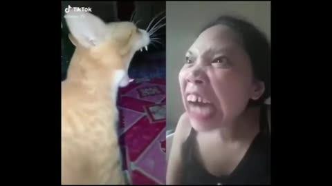Funny People doing Tiktok