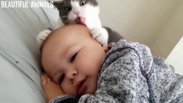 Babies playing with Cats Together, very Funny Pets Videos. Part - IV.