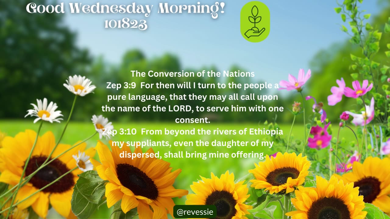 Good Wednesday Morning! 101823