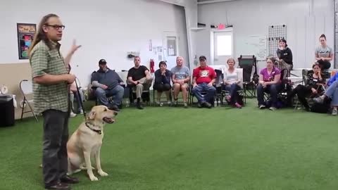 Best Dog Training Video