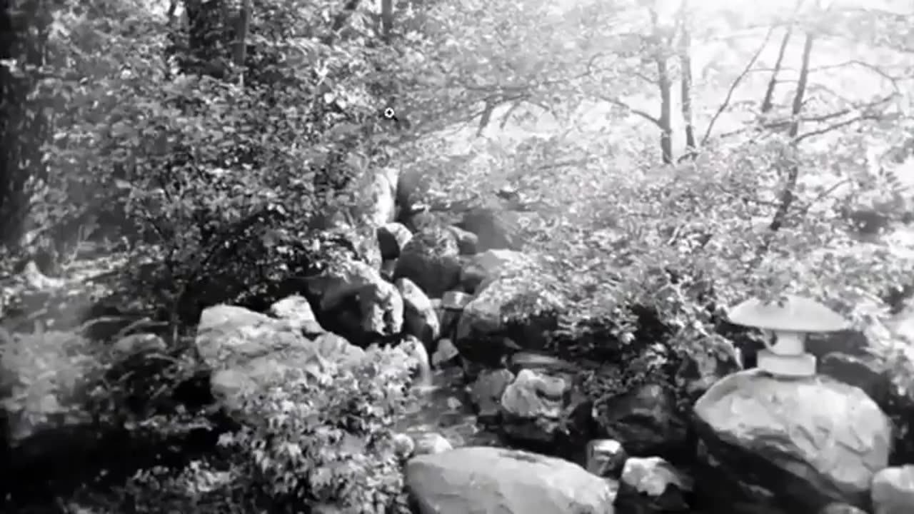 Tales From the Narrative - Old World Amusement