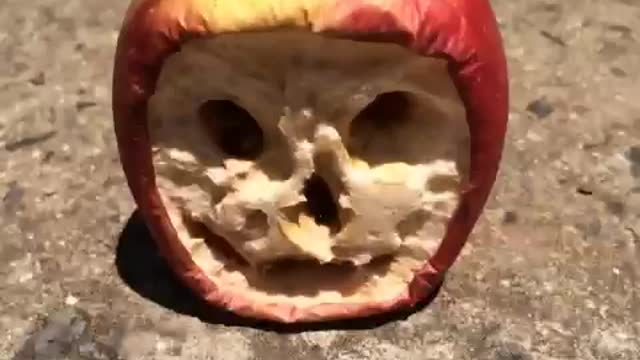 Shriveled Face Appears in Apple