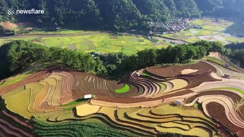 These terraced fields come to life during Vietnam's rainy season