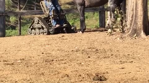 Paraplegic Bonds With Horse