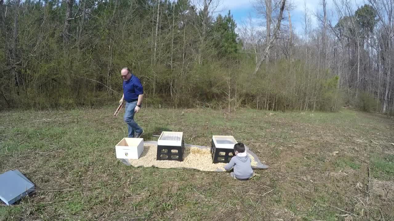 Placing the Hives