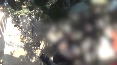 Scenes from the Mujahideen of the Al-Quds Brigades
