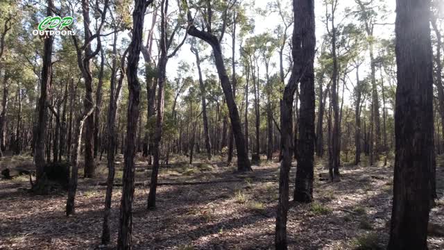 Bibbulmun Track part 13 Gringer Creek to White Horse Hills