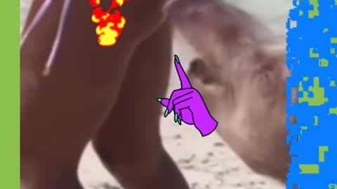 Funny animals and women