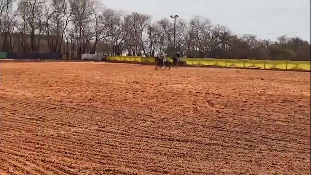 Treinador de cavalos de laço em dupla Rodrigo De Matos Sobreira