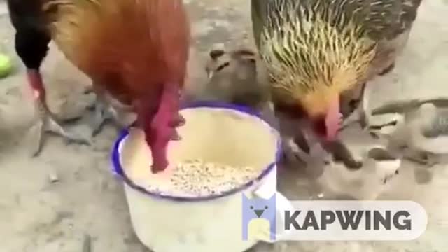 Madre solo una