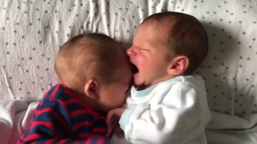 Twins trying to eat each other ðŸ¤
