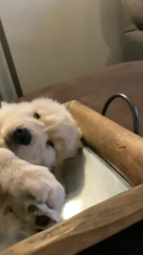 How do you not want to get up in the morning 🥱