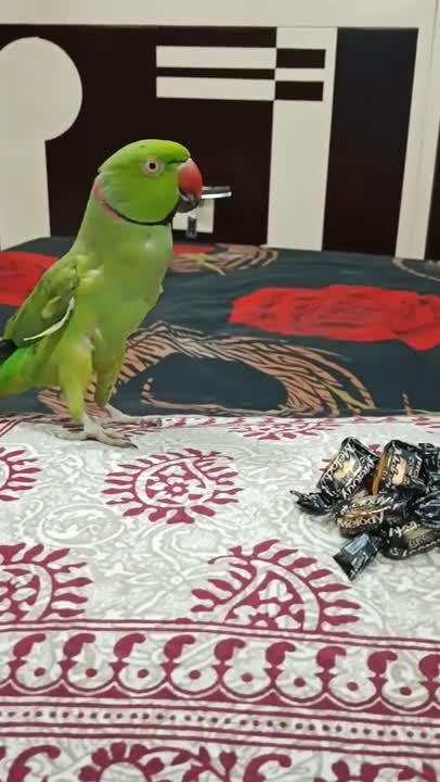 Maggi wale Uncle 😂