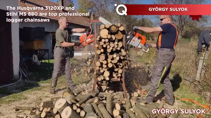 Amazing Extreme Tree Cutting Skills With Chainsaw And Heavy Logging Equipment