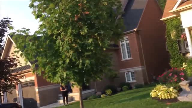 Hombre Demuestra Cómo NO Debes Derribar Un Nido De Avispas