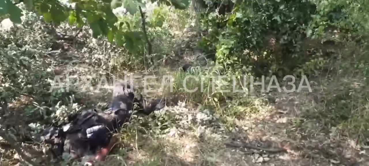 Special Forces of Ukraine, they are resting