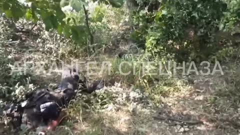 Special Forces of Ukraine, they are resting