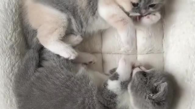 First Fight bro| adorable