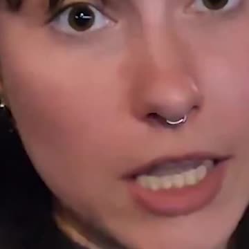 Visual Dictionary A Useful Idiot