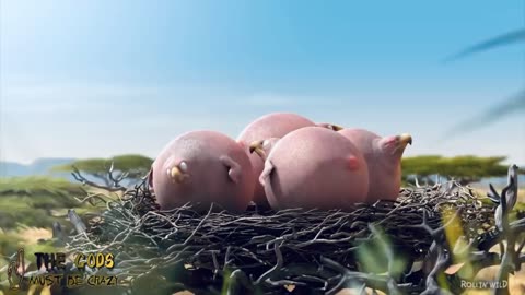 amazing funny animals