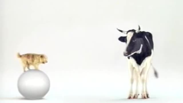 Funny Commercial for milk-Werbung für Milch