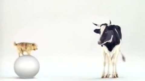 Funny Commercial for milk-Werbung für Milch