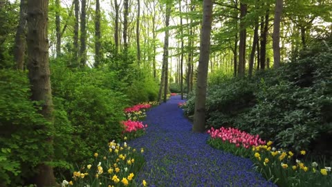 keuken hof