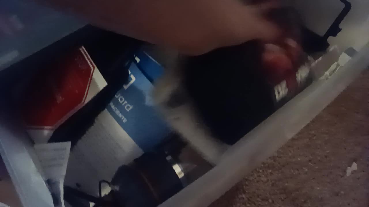 Elijah Touching Menthol, Turning Light Off Nokzen Gaming Is An Gun Sunflower