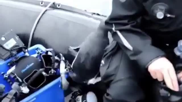 When a penguin trys to jump on your boat