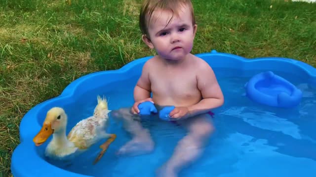 Funny Baby Reaction to Duckling in the Pool