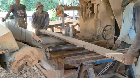 Once Inhabited By The Queen Of Termites!!! Hard Wood Like Stone