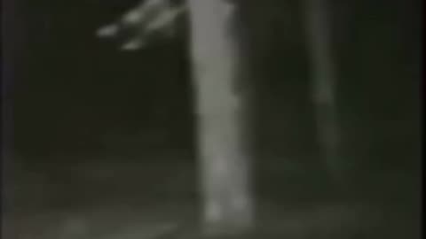 YETI CAUGHT ON CAMERA CLOSE -UP ON FACE!