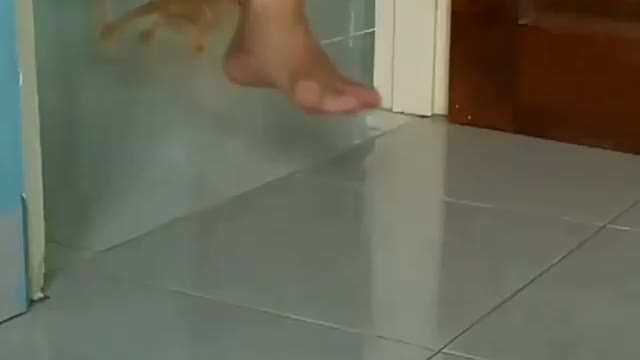 best drip ever