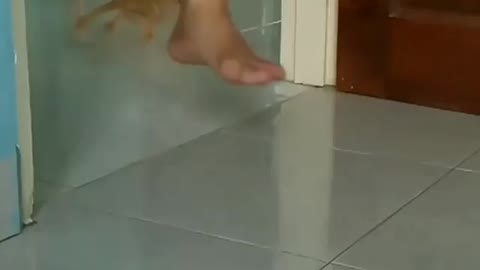 best drip ever