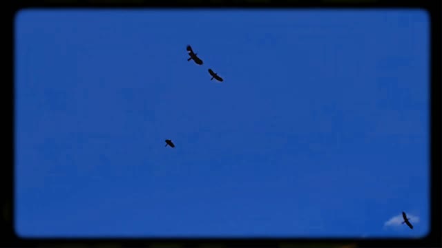 Sky video