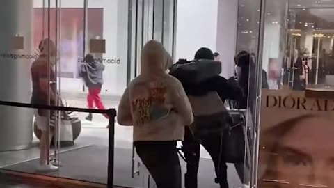 This is what the robbery of a Gucci store in Los Angeles looks like.